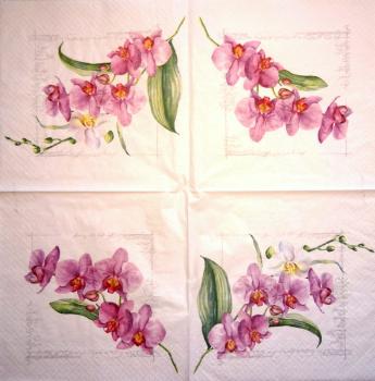 136 Orchideen - 3-lagig (rosa) - Ti-Flair